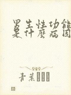 男生性功能不行是什么病因