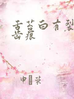 舌苔白有裂纹有齿痕