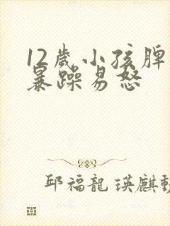 12岁小孩脾气暴躁易怒