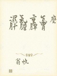 湿气重怎么调理肝胆脾胃