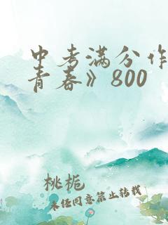 中考满分作文《青春》800
