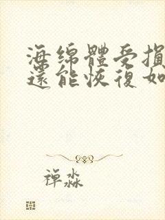 海绵体受损严重还能恢复如初么