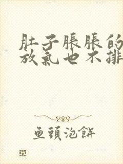 肚子胀胀的痛不放气也不排便怎么办