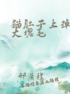 猫肚子上掉了一大块毛