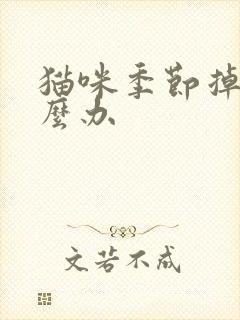 猫咪季节掉毛怎么办