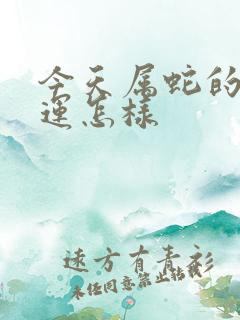 今天属蛇的人财运怎样