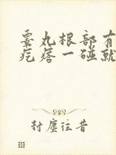 睾丸根部有个硬疙瘩一碰就疼