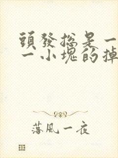 头发总是一小块一小块的掉