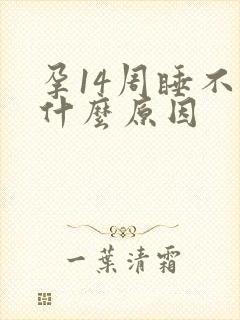 孕14周睡不着什么原因