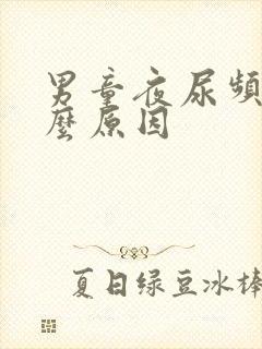 男童夜尿频多什么原因