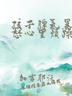 孩子脾气暴躁易怒心里烦躁