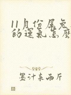 11月份属兔人的运气怎么样