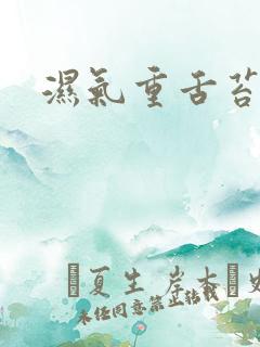 湿气重舌苔黄腻