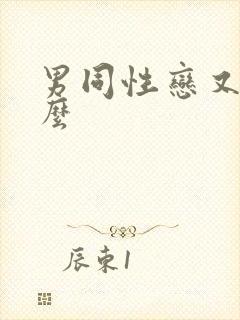 男同性恋又叫什么