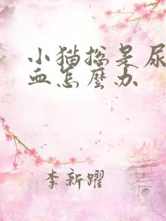 小猫总是尿还带血怎么办