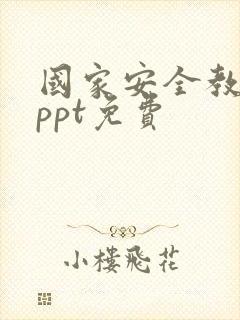 国家安全教育日ppt免费