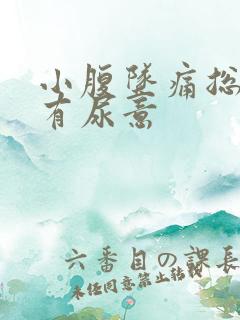 小腹坠痛总感觉有尿意