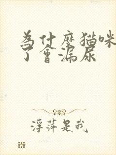 为什么猫咪睡着了会漏尿