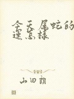 今天属蛇的人财运怎样