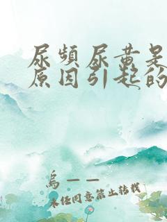 尿频尿黄是什么原因引起的