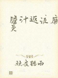 胆汁返流糜烂胃炎