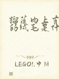 榴莲肉上有白色的绒毛是什么