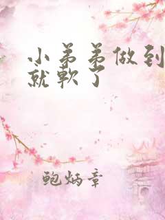 小弟弟做到一半就软了