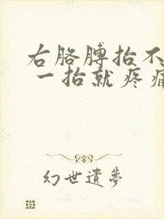 右胳膊抬不起来 一抬就疼痛难忍