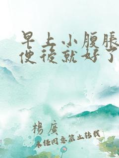 早上小腹胀痛排便后就好了