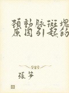 颈动脉斑块什么原因引起的