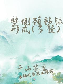 双侧颈动脉斑块形成(多发)