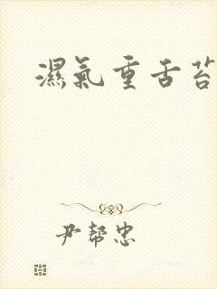 湿气重舌苔黄厚