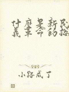 什么是新民主主义革命的总路线 主权问题