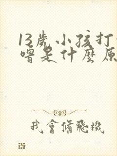 13岁小孩打呼噜是什么原因引起的