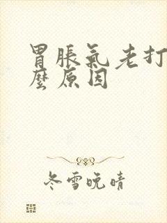 胃胀气老打嗝什么原因