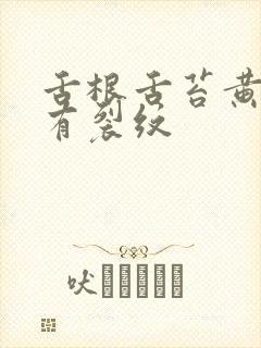 舌根舌苔黄厚腻有裂纹