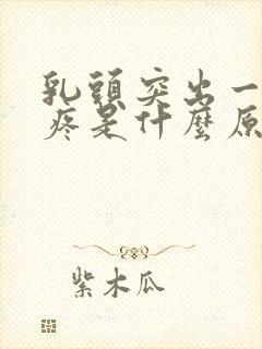 乳头突出一碰就疼是什么原因