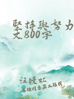 坚持与努力的作文800字
