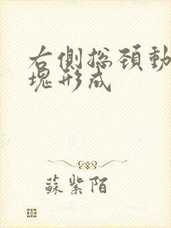 右侧总颈动脉斑块形成