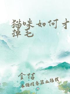 猫咪如何才能不掉毛