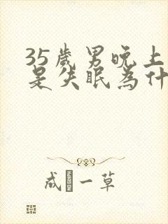 35岁男晚上总是失眠为什么