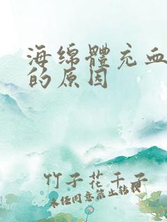 海绵体充血不足的原因