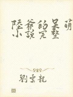 陆爷的呆萌甜妻小说完整