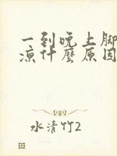 一到晚上脚就冰凉什么原因