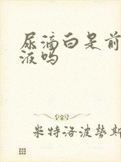 尿滴白是前列腺液吗