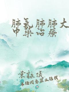 肺气肺肺大泡的中药治疗