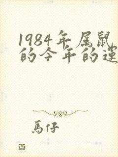 1984年属鼠的今年的运气怎么样