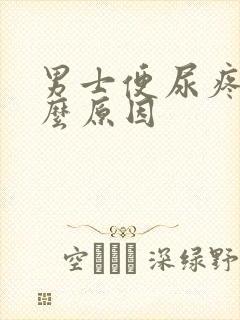 男士便尿疼是什么原因