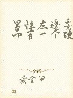 男性左边睾丸里面有一个硬疙瘩