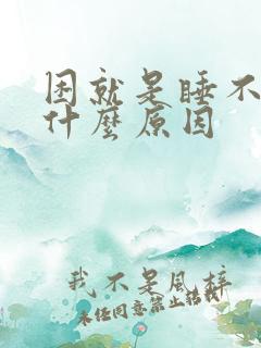 困就是睡不着是什么原因